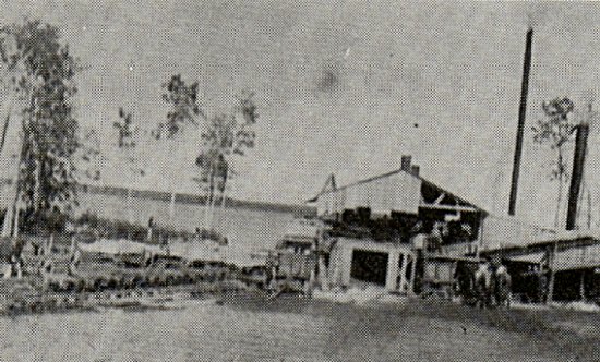 Harry Boyd's sawmill at Stoney Lake.