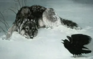 Raven and Wolf.