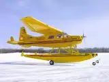 Wings Over Canada