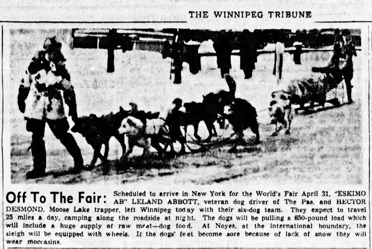 Article in Winnipeg Tribune - January 18, 1939.