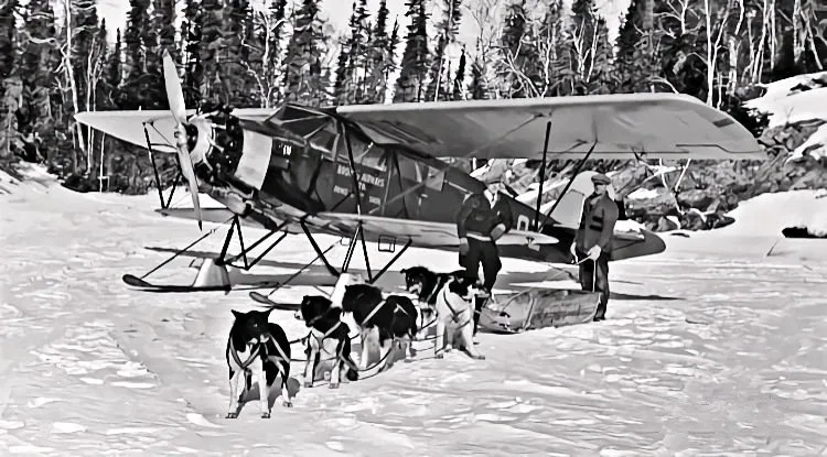 Aircraft and dog team.