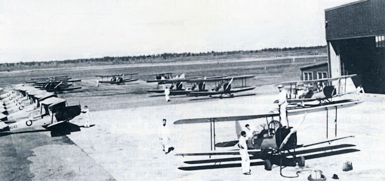 De Havilland Tiger Moths of the #6 Elementary Flying Training School.